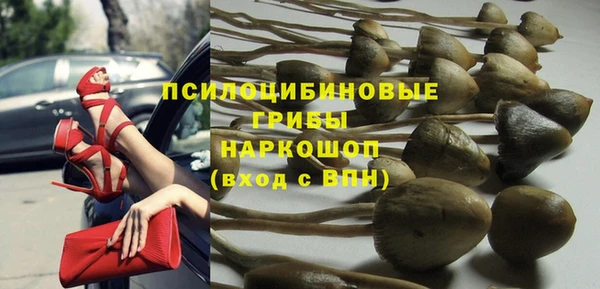 ПСИЛОЦИБИНОВЫЕ ГРИБЫ Балахна